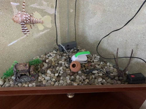 aquarium