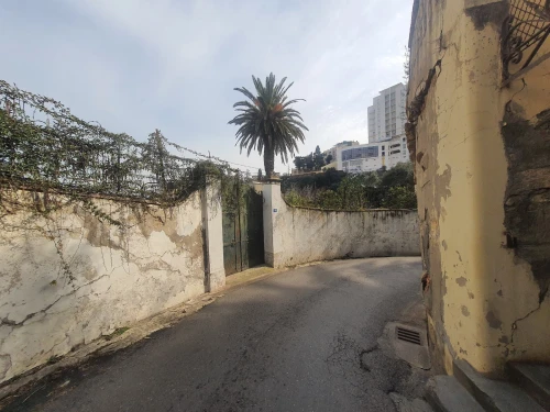 Vente Terrain Alger El mouradia 4