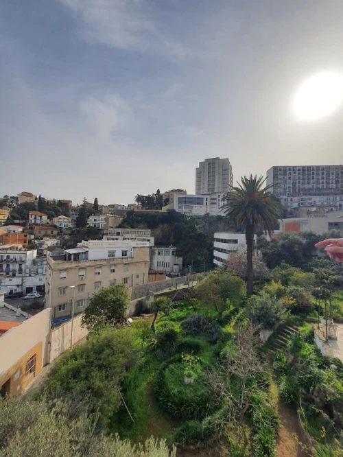 Vente Terrain Alger El mouradia 10