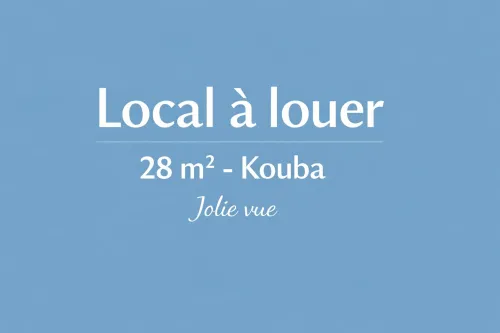 Location Local Alger Kouba