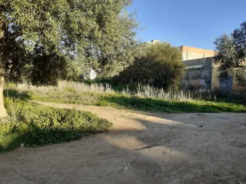 Vente Terrain Tlemcen Chetouane