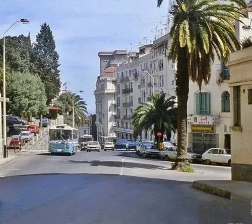 Location Appartement F5 Alger Alger centre