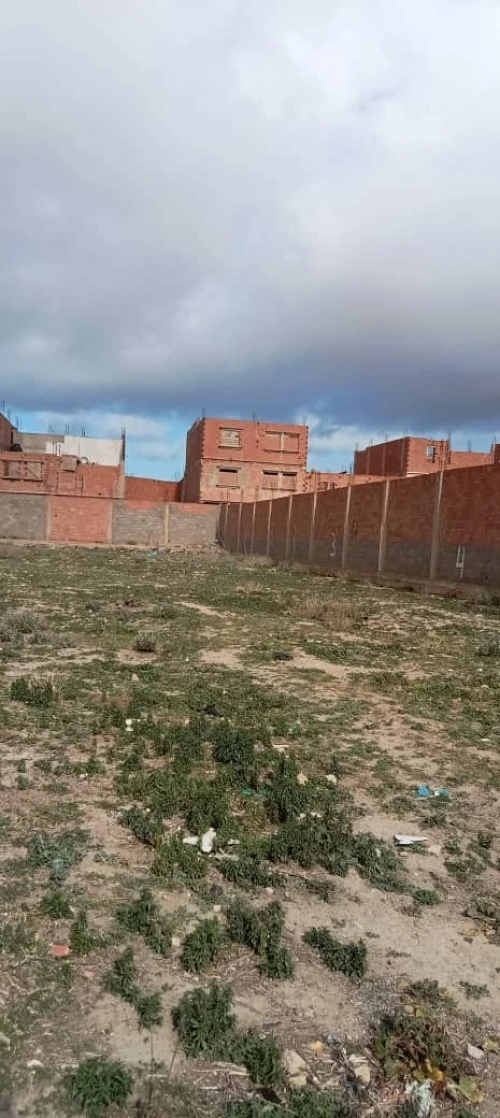 Vente Terrain Mostaganem Kheireddine