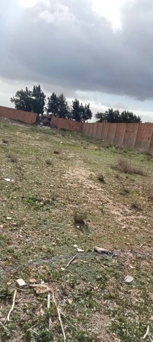 Vente Terrain Mostaganem Kheireddine
