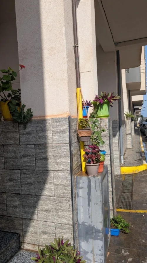 Vente Appartement F3 Mostaganem Mezghrane