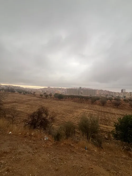 Vente Terrain Tlemcen Tlemcen