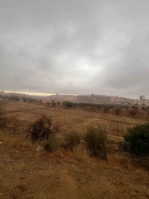 Vente Terrain Tlemcen Tlemcen