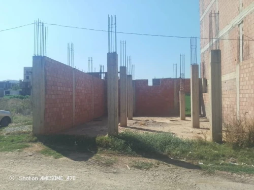 Vente Terrain Blida Meftah