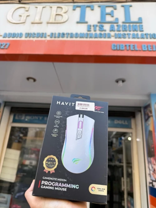 SOURIS GAMING HAVIT