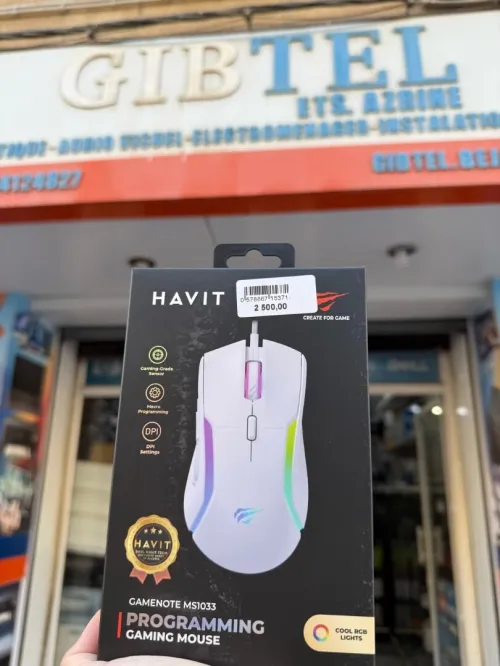 SOURIS GAMING HAVIT