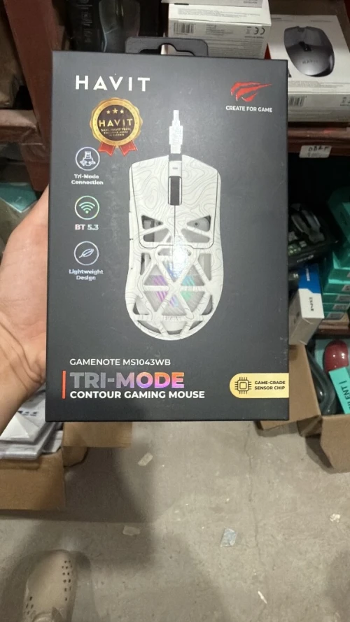 SOURIS GAMING HAVIT