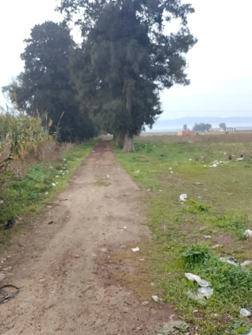 Vente Terrain Tipaza Sidi rached
