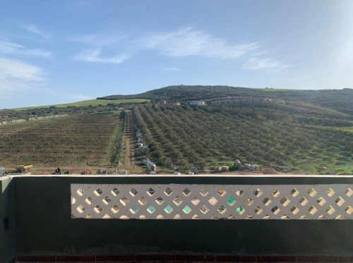 Vente Terrain Agricole Oran Ain el kerma