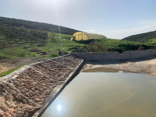 Vente Terrain Agricole Oran Ain el kerma
