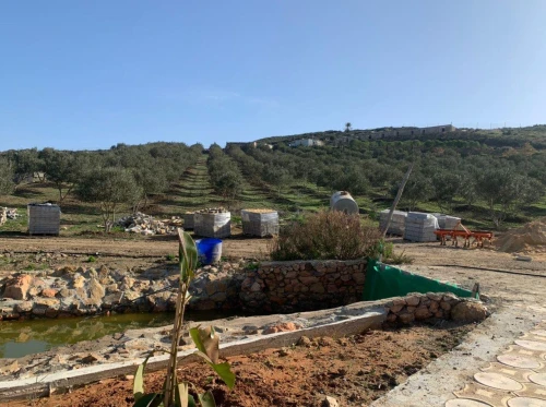 Vente Terrain Agricole Oran Ain el kerma