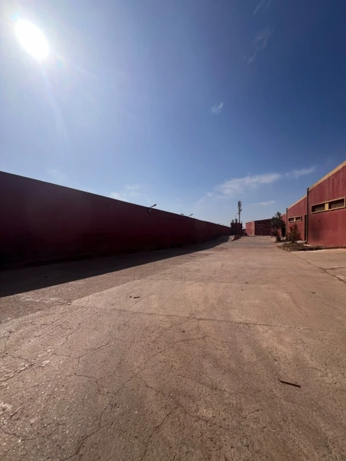 Location Hangar Oran Es senia