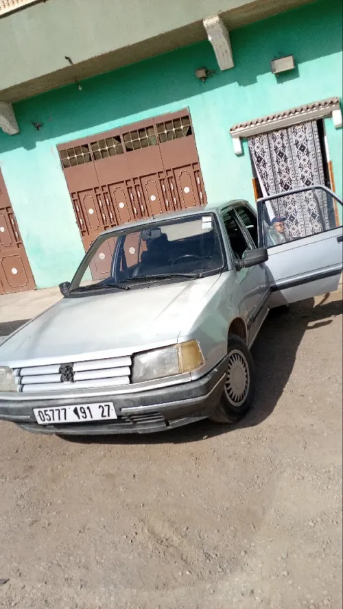 Peugeot 309 1991 309