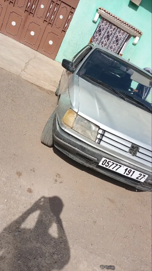 Peugeot 309 1991 309