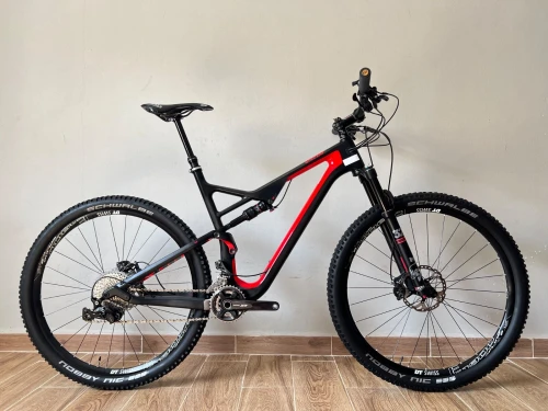 Bixs Trail Full Carbon 