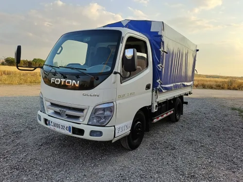 FOTON Ollin 2012