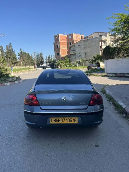 Peugeot 407 2005 407