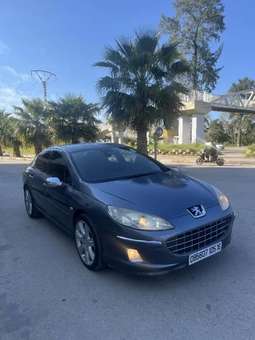 Peugeot 407 2005 407