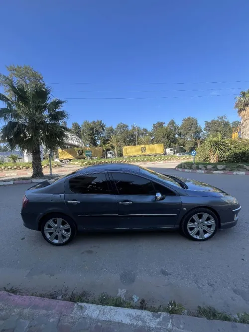 Peugeot 407 2005 407