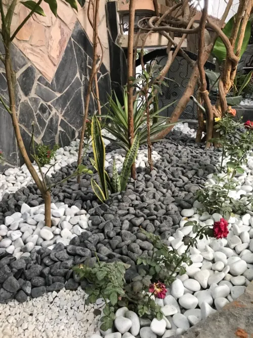 1-nettoyage des jardin  2-enetrtein des jardin  3-pose les plantes et les fleures  4-pose gazon 