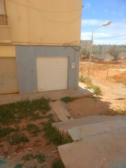 Vente Local Sidi Bel Abbès Sfissef