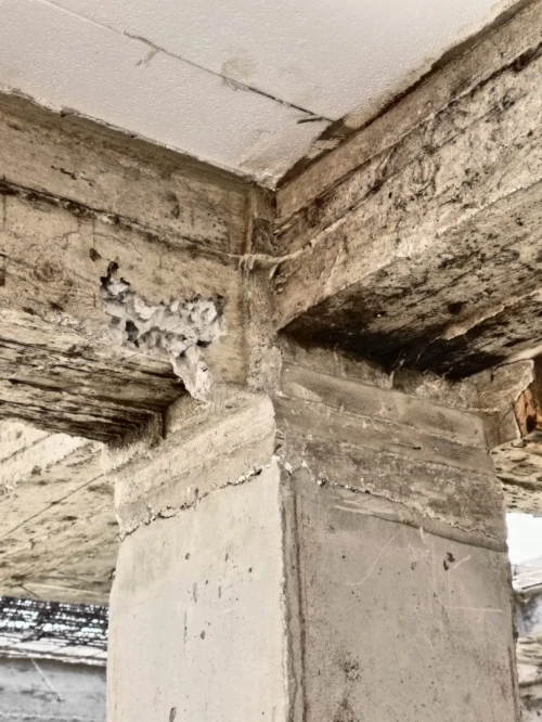 Expertise en béton 