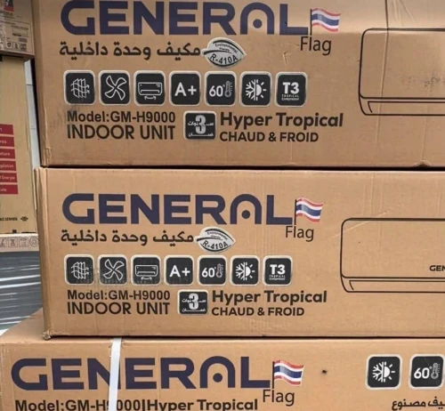 Climatiseur General Flag GM-H12000