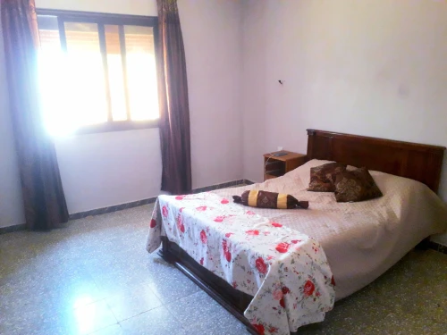 Location Appartement Tlemcen Mansourah