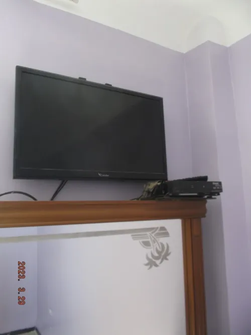 Vente Appartement F3 Chlef Chlef