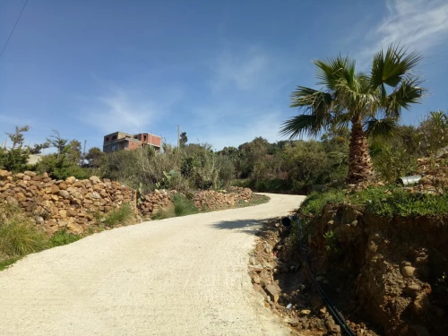 Vente Terrain Jijel Jijel