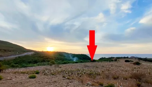 Vente Terrain Jijel Jijel