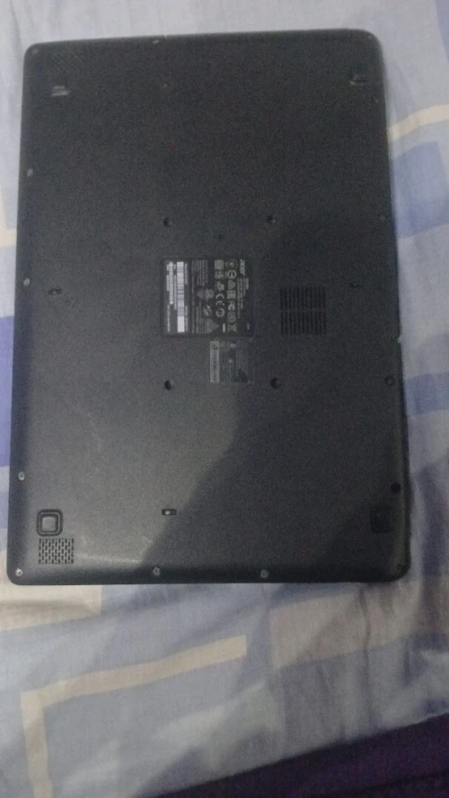 Acer