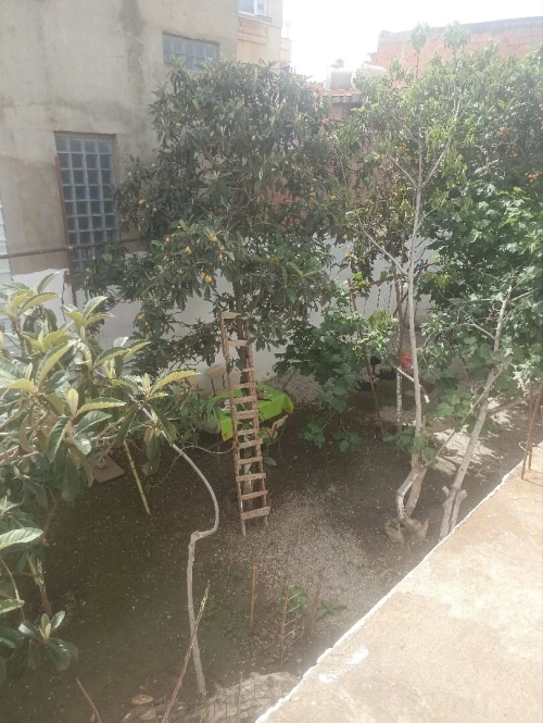 Vente Villa Alger Sidi moussa