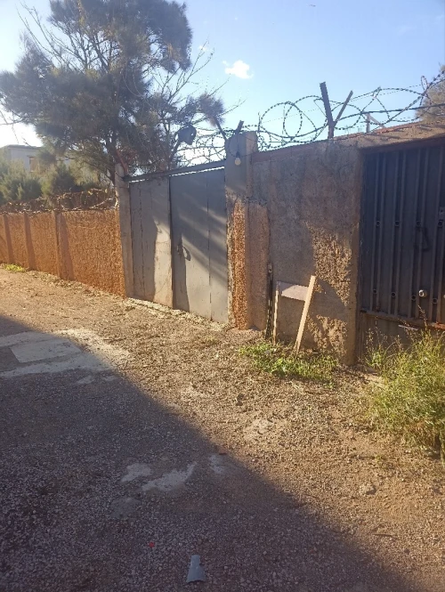 Vente Terrain Alger Rais hamidou