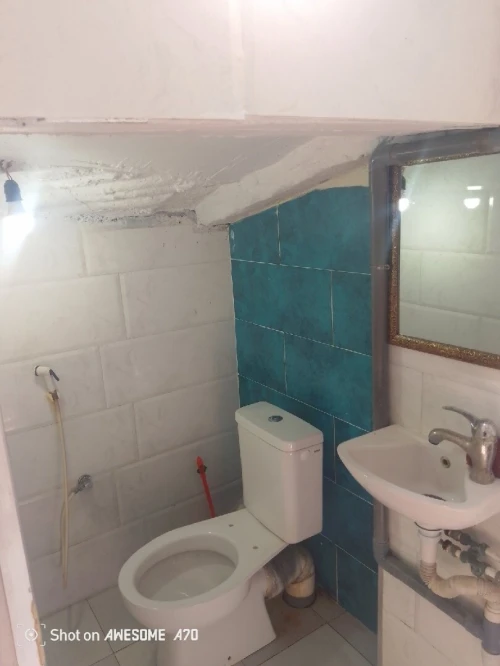 Location Appartement Niveau de villa Studio Alger Les eucalyptus