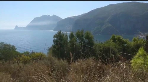 Vente Terrain Béjaïa Bejaia