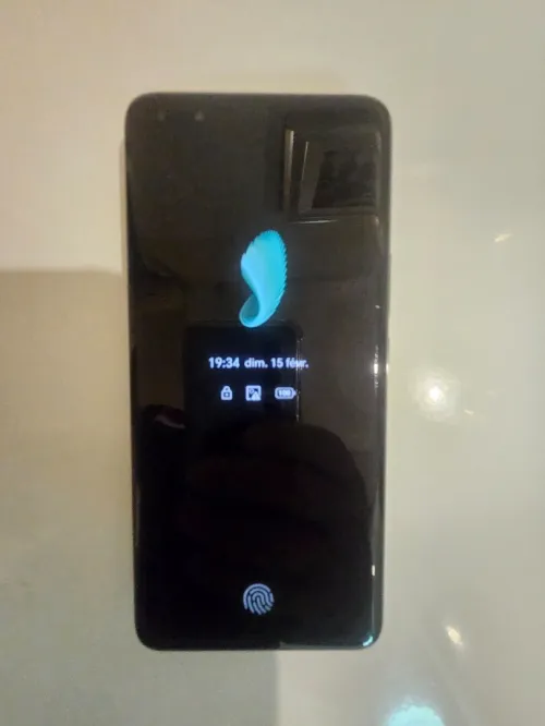 HONOR X5 Pro