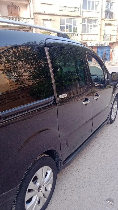 Citroen Berlingo 2010 Berlingo