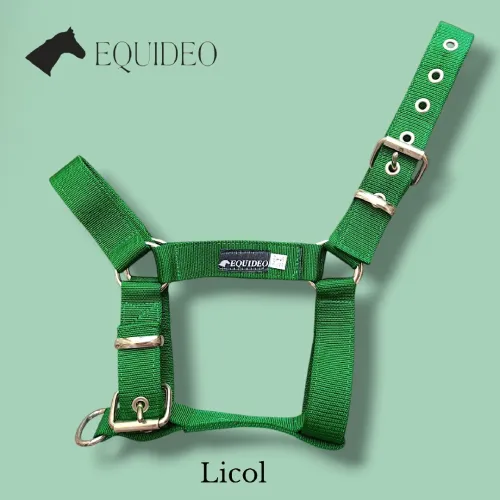 Matériel équitation licol رسن