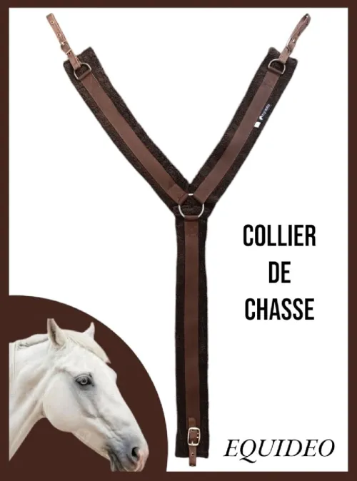 Matériel équitation collier de chasse كوليي دشاص 