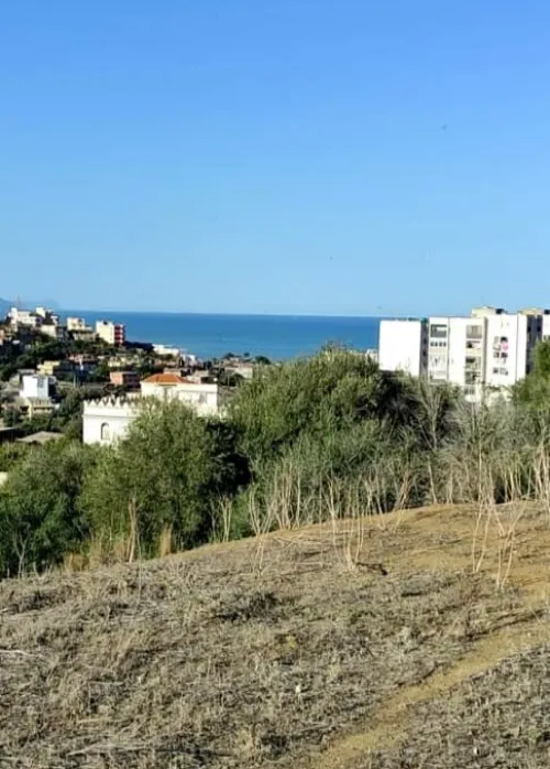 Vente Terrain Tipaza Cherchell