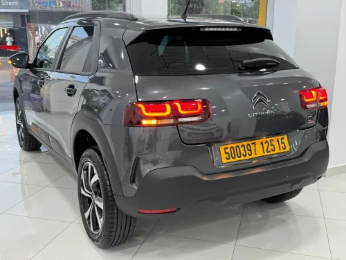 Citroen C4 2025 cactus