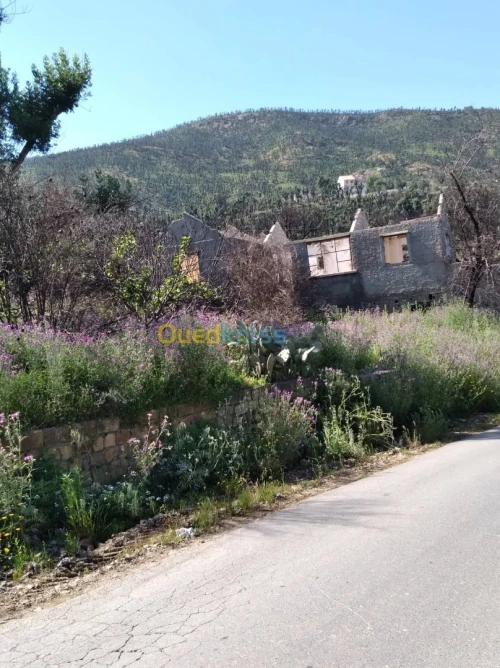Vente Terrain Tizi Ouzou Zekri