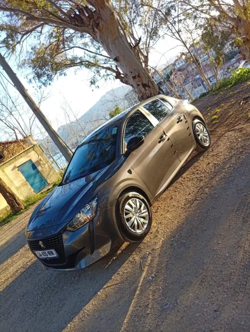 Peugeot 208 2022 Like