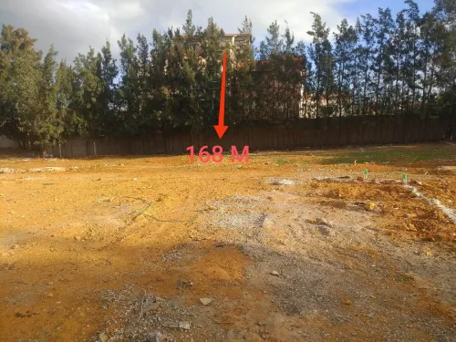 Vente Terrain Alger Saoula