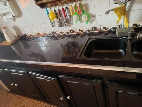 Vente Villa Tlemcen Ghazaouet